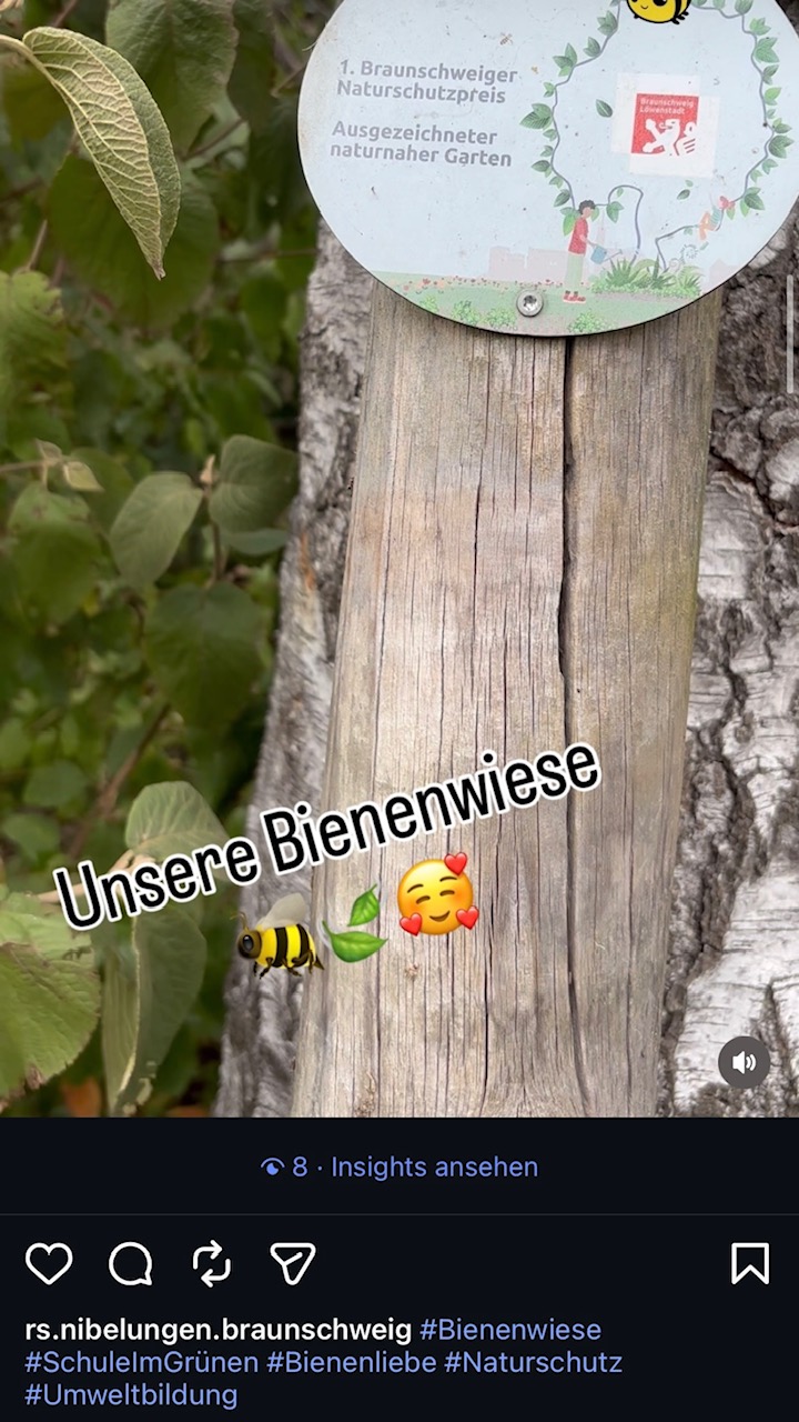 Bienenwiese